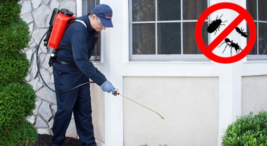 Çameli Karınca İlaçlama böcek ilaçlama ve haşere kontrolü — ilaclama-tr.com